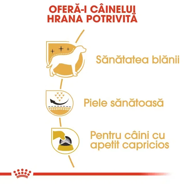 Royal Canin West Highland White Terrier Adult