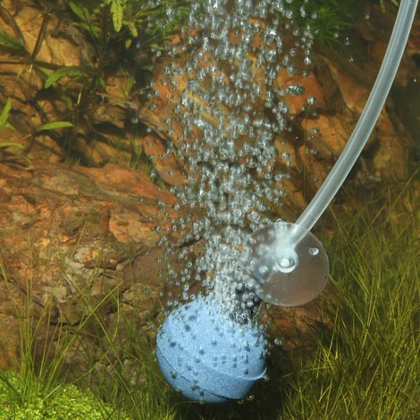 JBL Piatra Aer Prosilent Aeras Micro Ball L