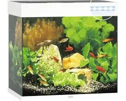 Juwel Acvariu Led Lido 120 Alb