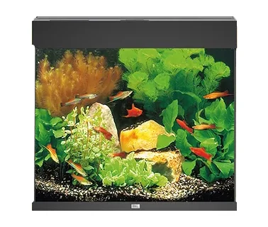 Juwel Acvariu Led Lido 200 Negru