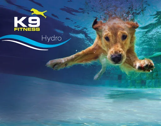Zeus K9 Jucarie Hydro Delfin