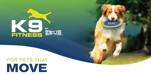 Zeus K9 Fitness Disc Nylon