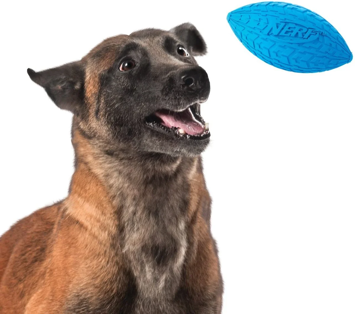 Nerf Minge Football Squeak Rosu/Albastru M