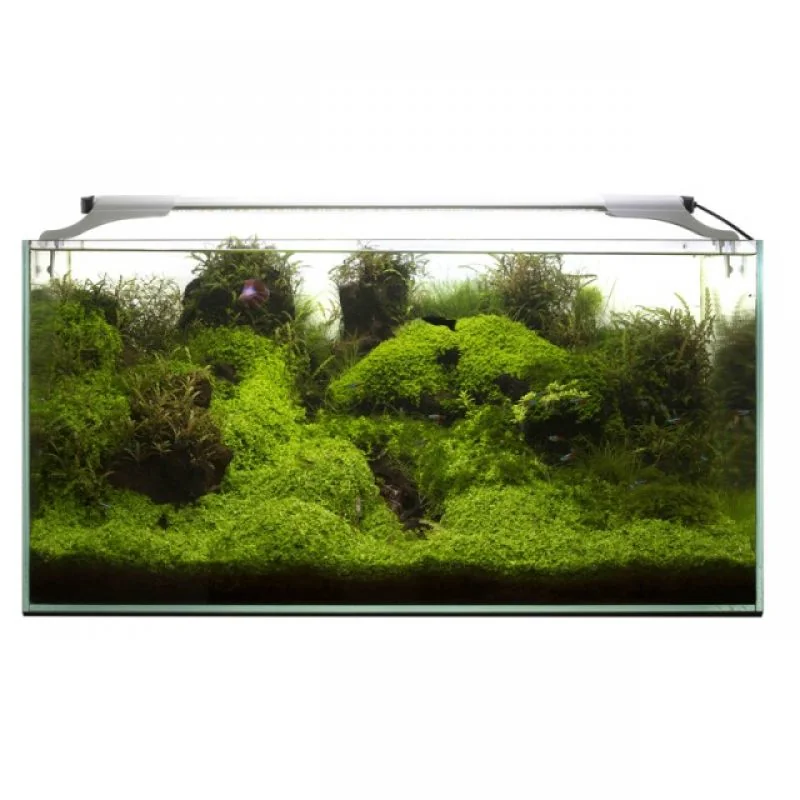 Aquael Lampa Led 10 W Sunny 50 CM Slim 114584