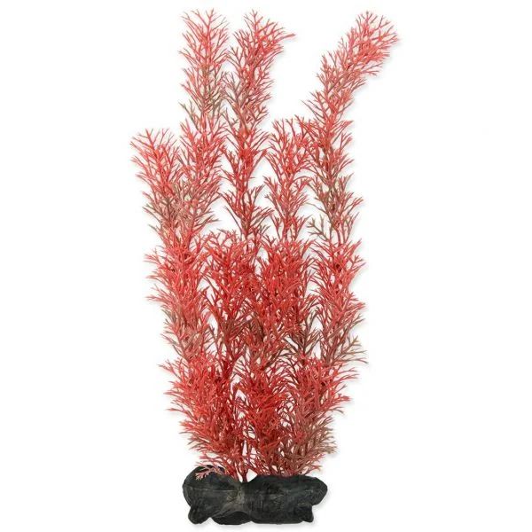 Tetra Planta Decoart Red Foxtail M 23 cm