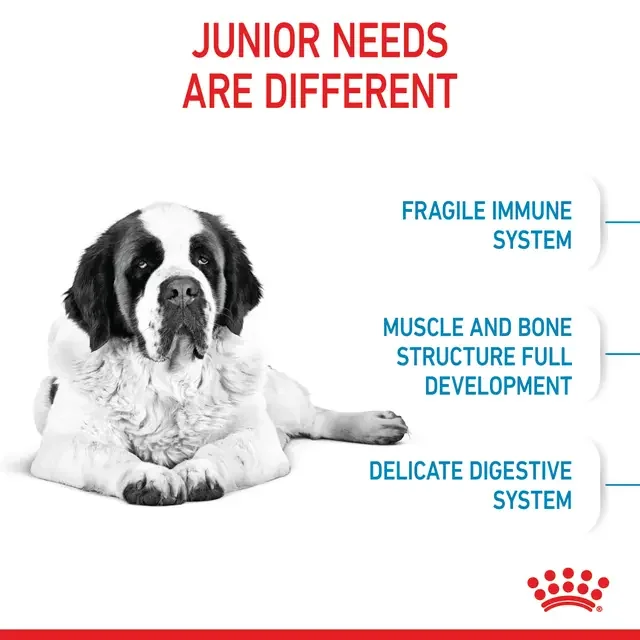 Royal Canin Giant Junior 15 kg