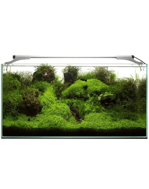 Aquael Lampa Led 32 W Actinic 80-100 Cm Slim Negru 115551