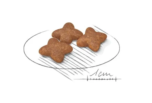 Royal Canin Mini Adult 8 + 1 Kg Gratis