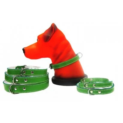 Pet Expert Zgarda Pasla Verde