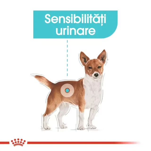 Royal Canin Plic Urinary Care 85 g