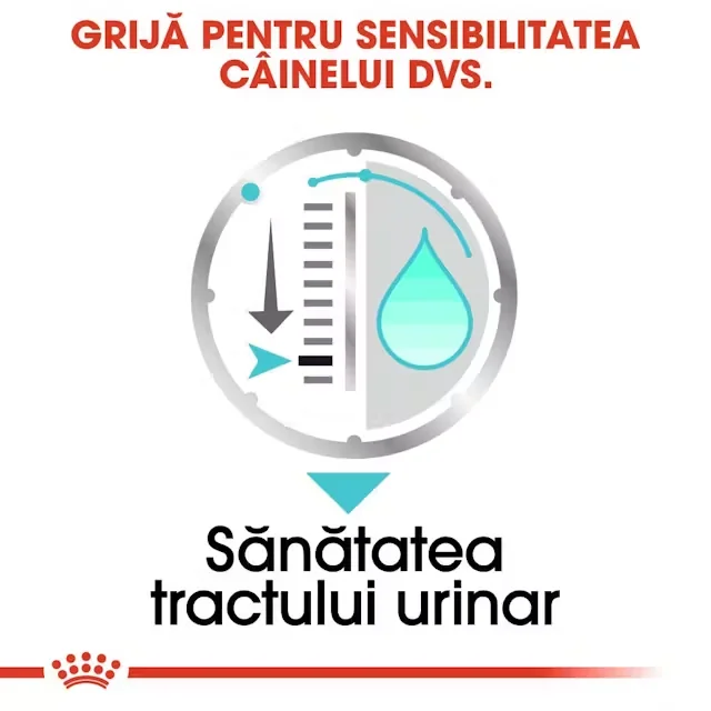 Royal Canin Plic Urinary Care 85 g