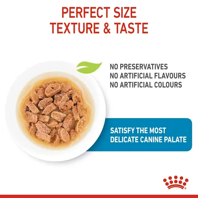 Royal Canin Plic Mini Puppy 85 g