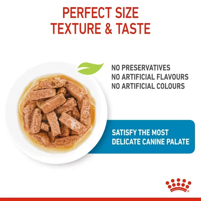 Royal Canin Plic Maxi Puppy 140 g