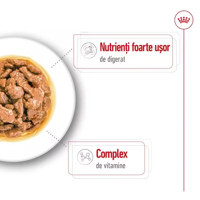 Royal Canin Plic Mini Adult 85 g