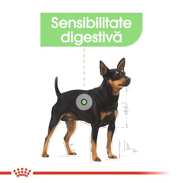 Royal Canin Plic Digestive Care 85 g