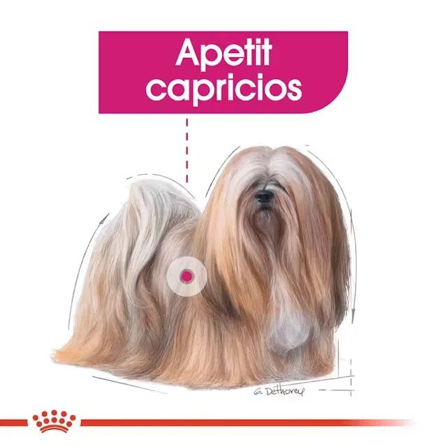 Royal Canin Plic Exigent Loaf 85 g