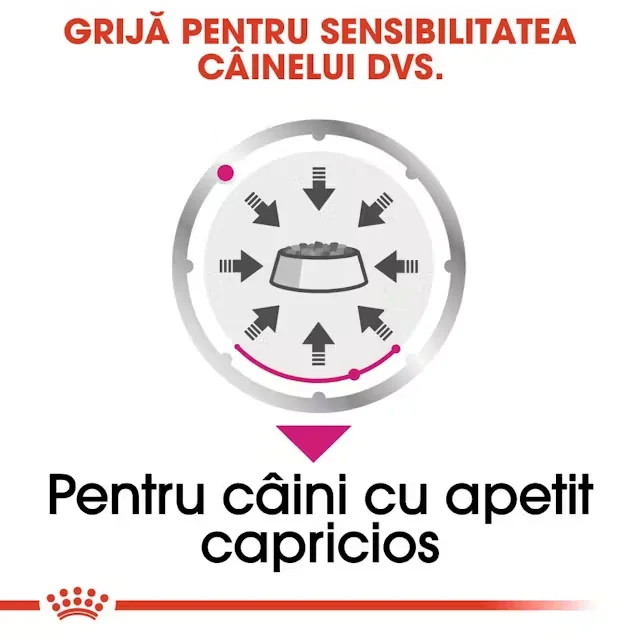 Royal Canin Plic Exigent Loaf 85 g