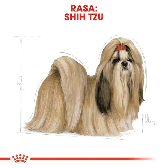 Royal Canin Plic Shih Tzu Loaf 85 g