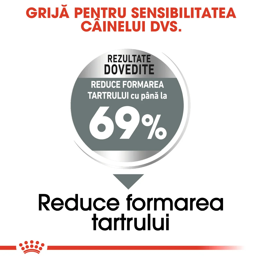 Royal Canin Mini Dental Care 1 Kg