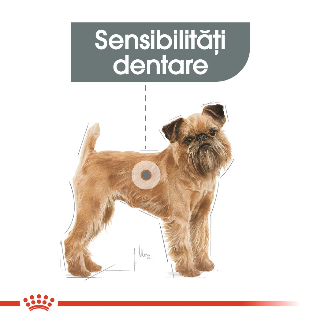 Royal Canin Mini Dental Care 1 Kg