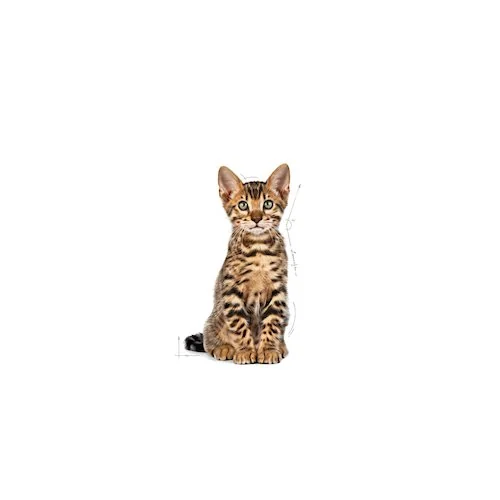 Royal Canin Felin Kitten Sterilised 400 g