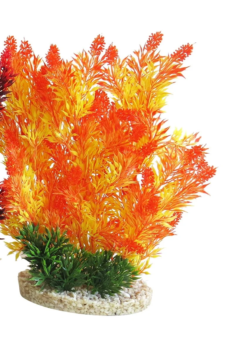 Sydeco Planta Aquaplant Color Hedge 24 cm 349903