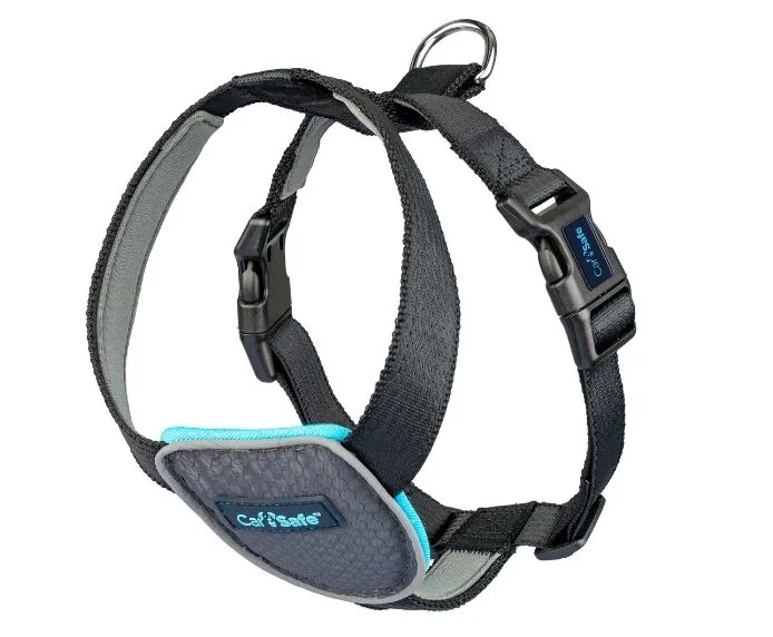 Coa Ham Caine Carsafe Travel Black M