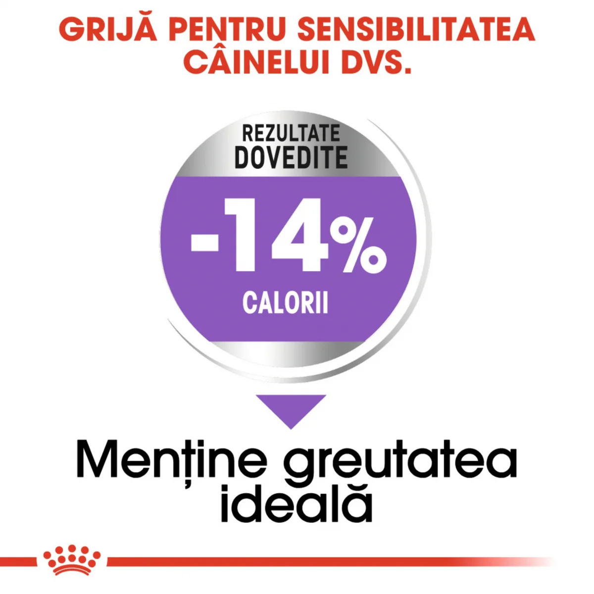 Royal Canin Maxi Sterilised Adult 12kg