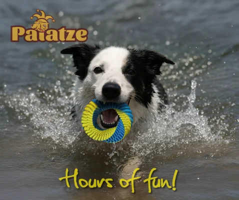 Paiatze Dog Floating Twisted Ring + Handle 53 cm