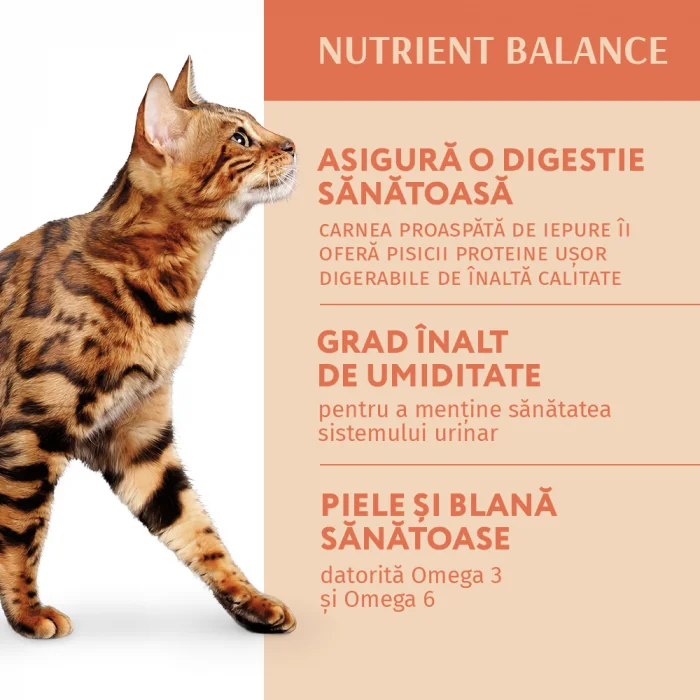 Optimeal Pisica Plic Iepure 85 g