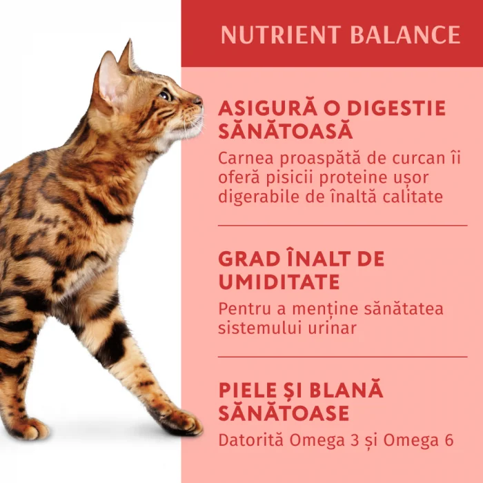 Optimeal Pisica Plic Curcan 85 g
