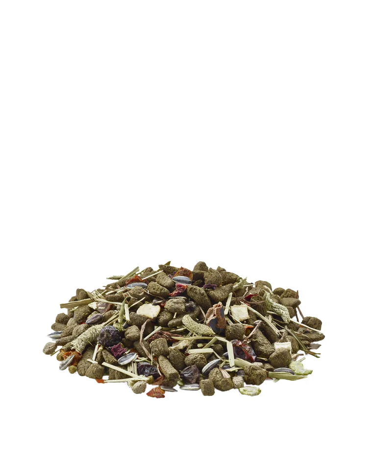 Versele Laga Chinchilla Nature 700 g