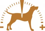 Brit Care Dog Grain-Free Senior & Light Somon