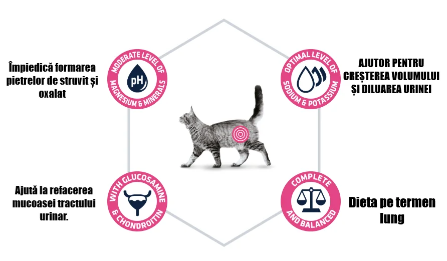 Advance Cat Dieta Urinary 1.5 Kg