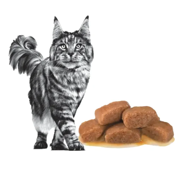 Royal Canin Cat Dieta Plic Neutered Weight Maintenance 12 x 85 g