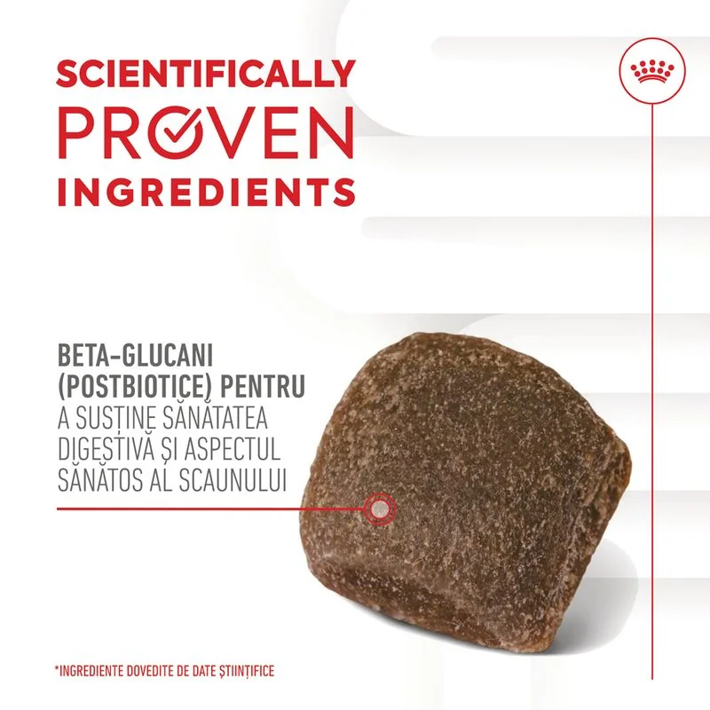 Royal Canin Suplimente Masticabile Digestie Adult 160 g