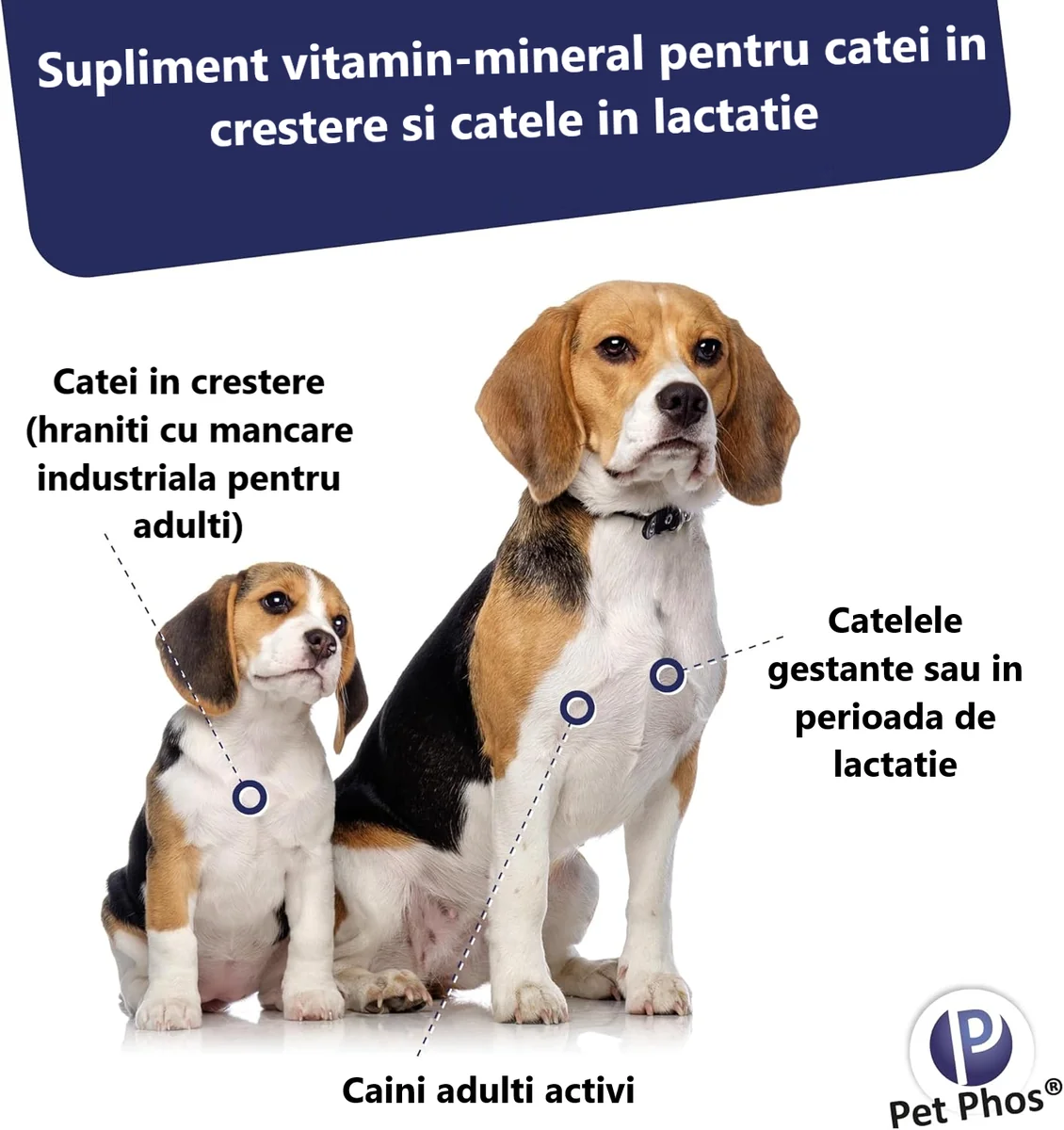 Pet Phos Vitamine Caine Croissance Ca/P=2