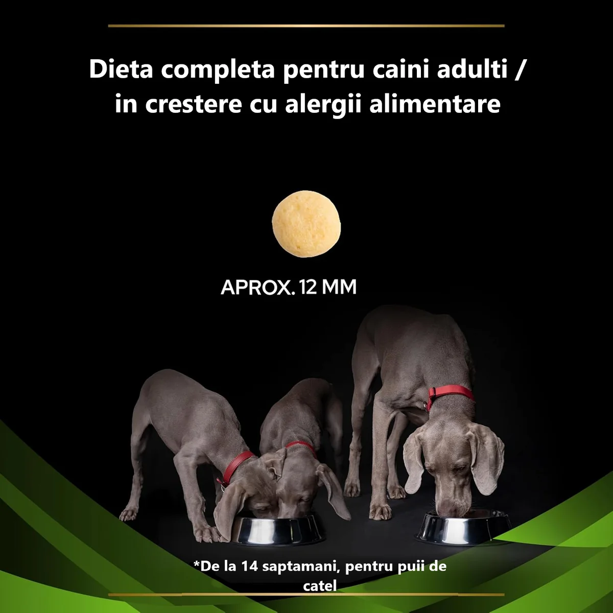 Pro Plan Dog Dieta Hypoallergenic 3 kg